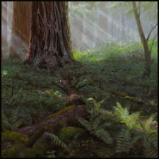 Sequoia and Ferns