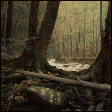Forest Interior