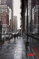 Reflections in the Rain