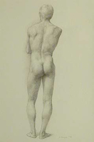 Male Nude, Standing