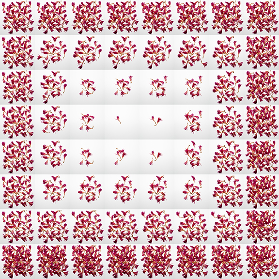 1 to 64 Petals In A Grid 1/5