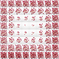 1 to 64 Petals In A Grid