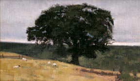 Scottish Tree