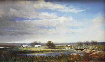 Horses Of The Camargue,