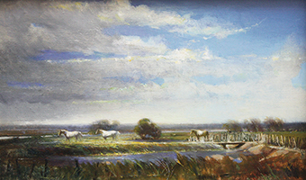 Horses of the Camargue