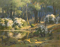 Springtime Mountain Laurel