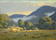 Vermont Pastures