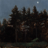 Trees, Dusk