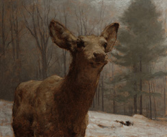 Doe