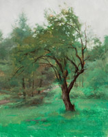 Overcast Tree