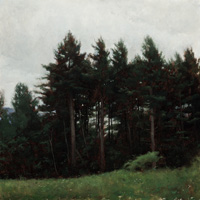 Trees, Overcast