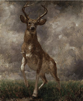 Deer(Stormy Clouds)