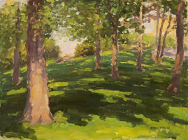 Behind Conservatory Garden Study