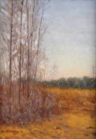 Rochester Field In Winter