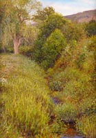 A Summer Stream