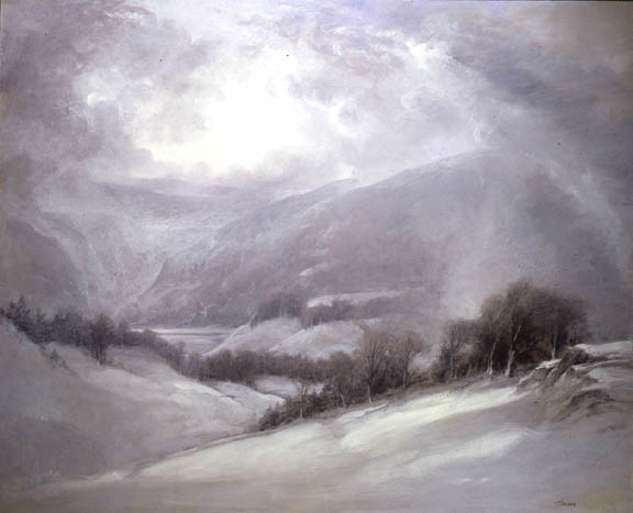 Snowstorm