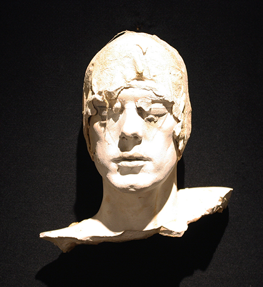 Head Study