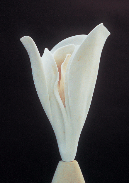 Snow Flower
