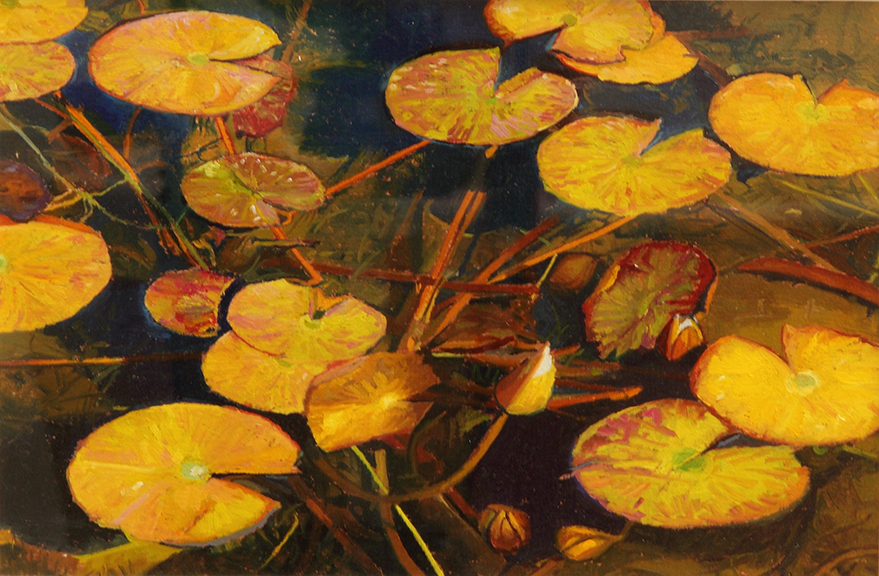 Lily Pads