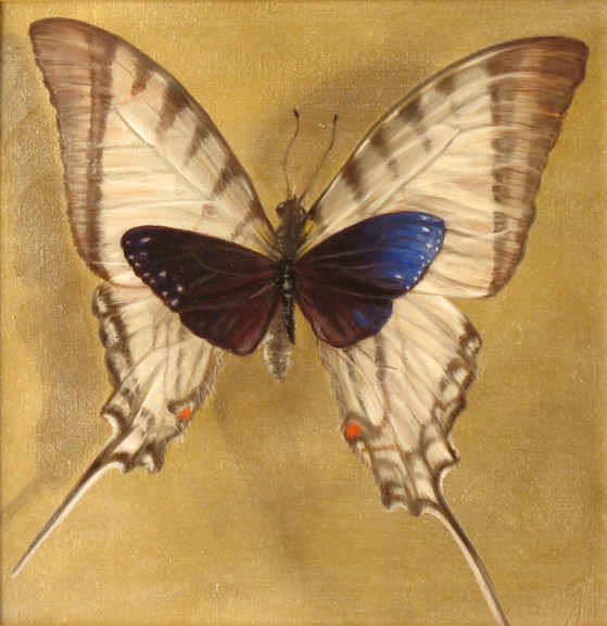 Butterfly Study in Blue