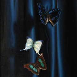 Butterlfies on Cobalt Blue Cloth