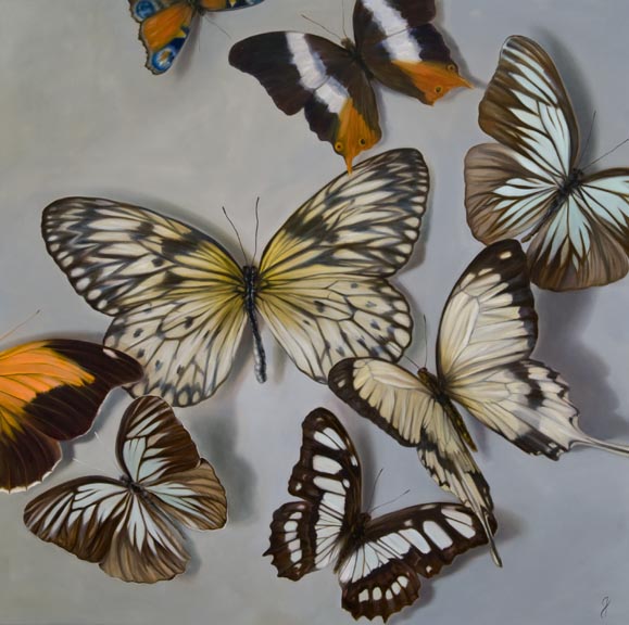Earth Butterflies From the Elements Series