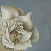 Gardenia