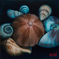 Jewel Seashells