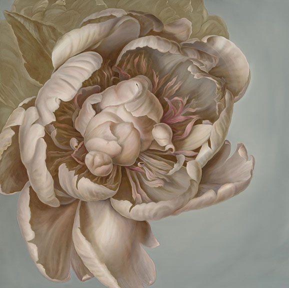 Peony In Bloom