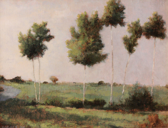 5 Tall Aspen