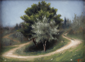 Roundabout Settignano
