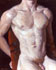 Torso