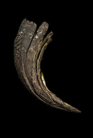 he Find: Bison Shed 1/10