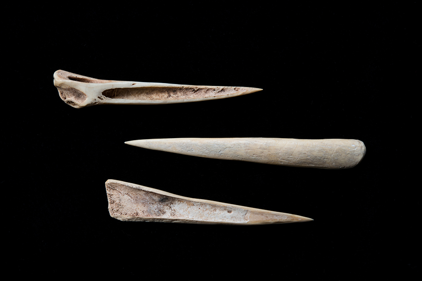 The Find: Bone Needles  1/10