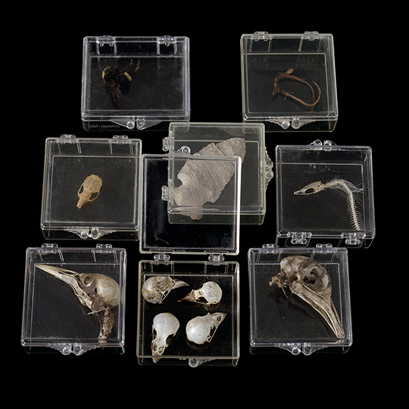 Plexiboxed Miniatures 1/20