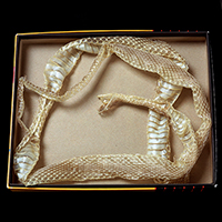 Boxed Blue Racer Skin  1/20