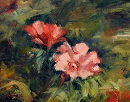 Summer Bloom