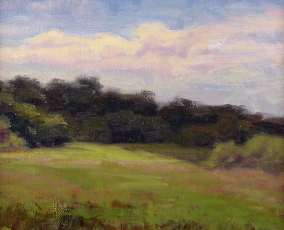 Open Field