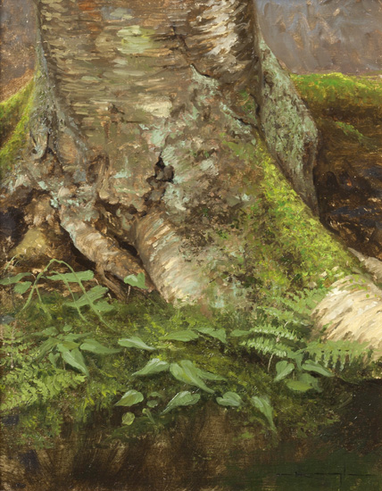 Yellow Birch and Moss