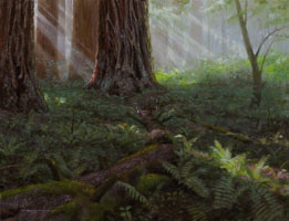 Sequoia and Ferns