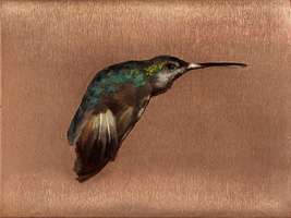 Hummingbird