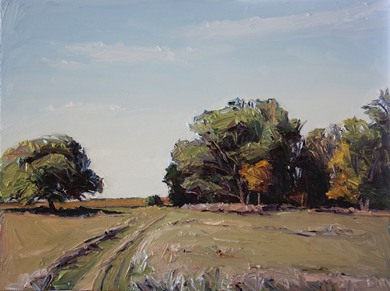 Grass, Road, Trees, Late Summer