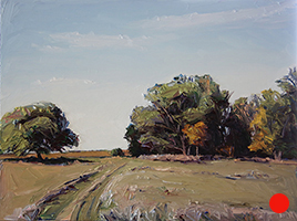 Grass, Road, Trees, Late Summer