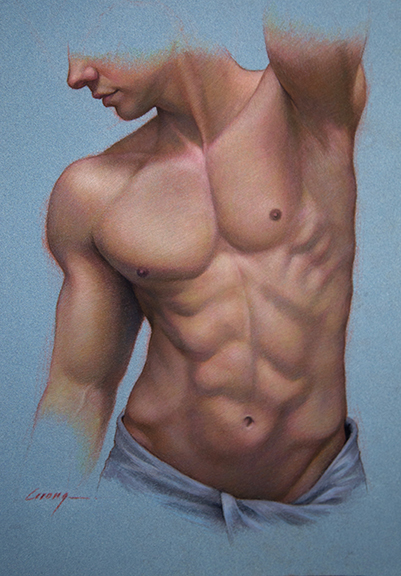 Male Torso