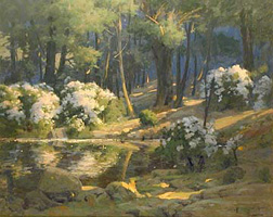 Springtime Mountain Laurel
