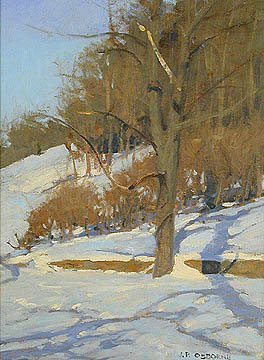 Snowfall