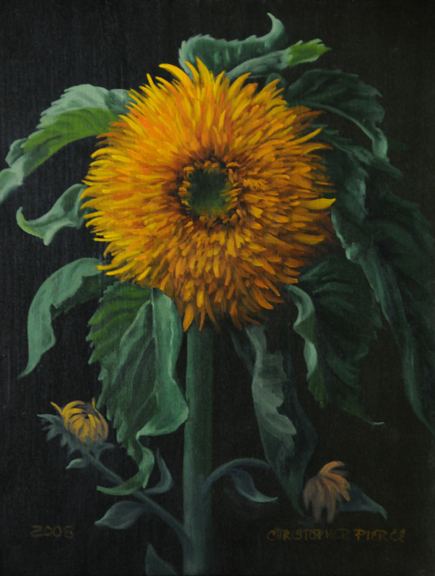 Double Sunflower