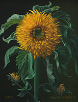 Double Sunflower