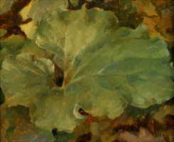 Botanical Study 1