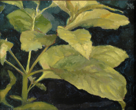 Botanical Study 4,